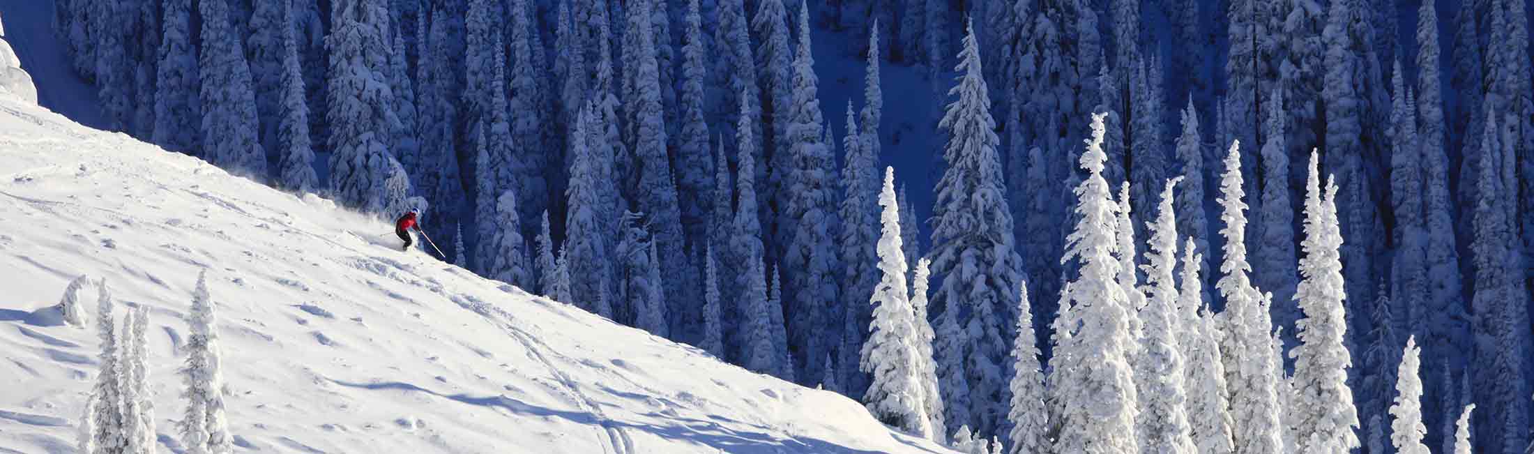20 Things To Do In The Winter Destination Missoula