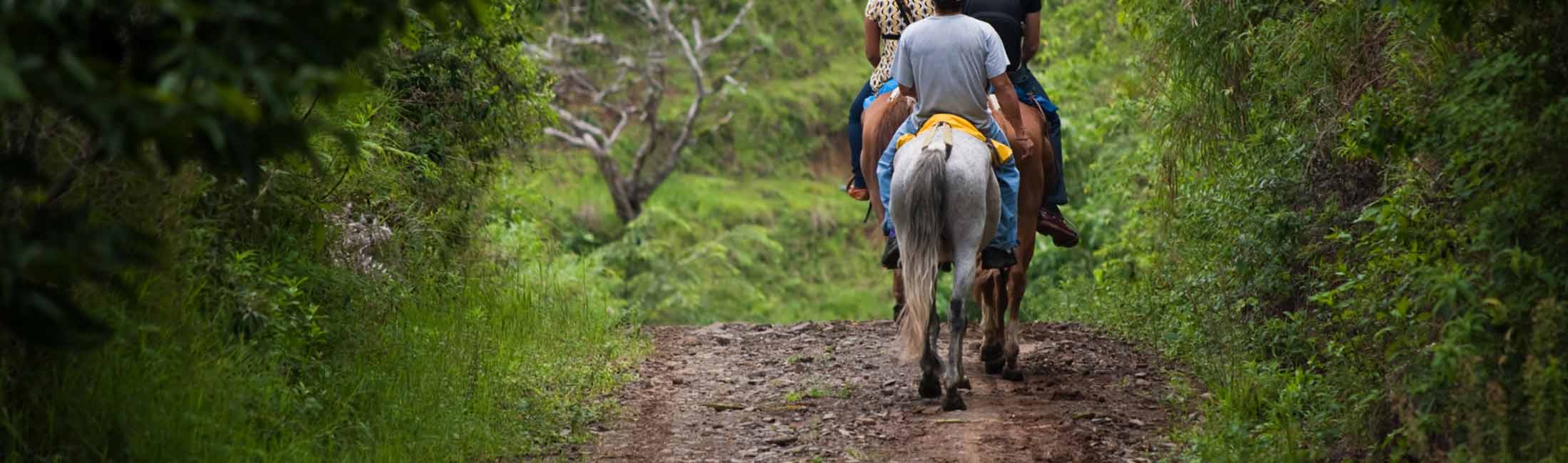 Horseback Riding Destination Missoula
